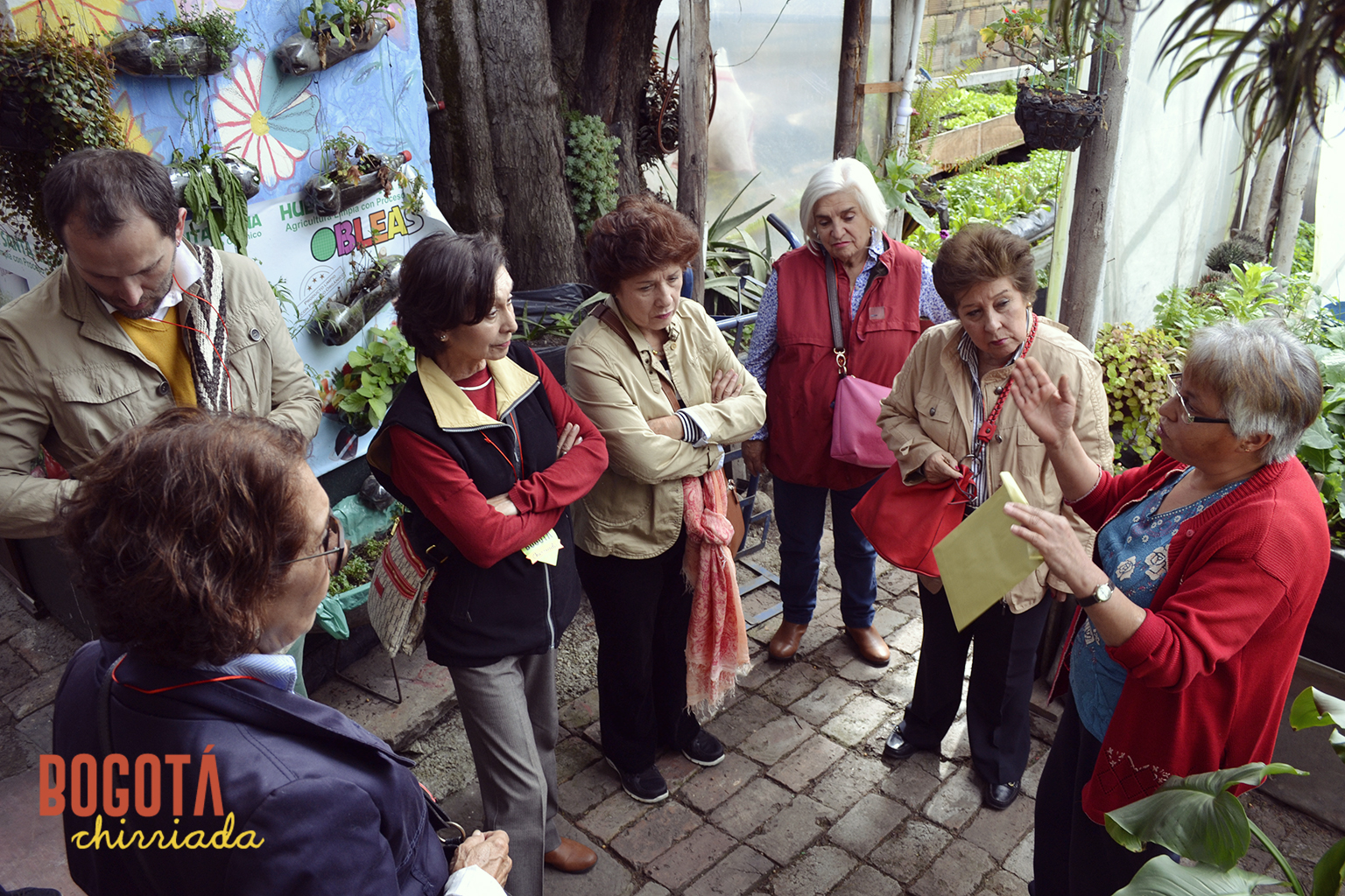 Experiencia en huerta urbana