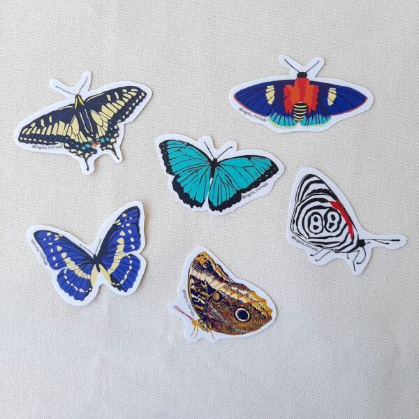 Stickers de mariposas de Colombia