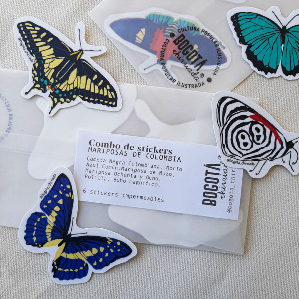 Detalle del combo de mariposas de Colombia