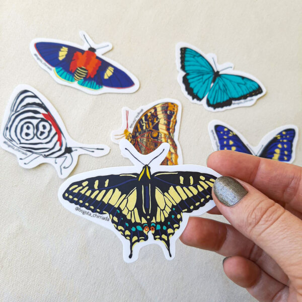 Stickers de mariposas