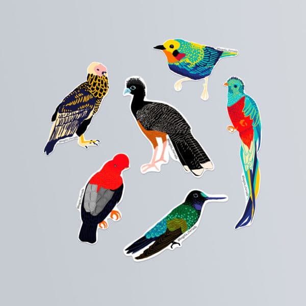 Combo de stickers de pájaros de Colombia