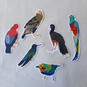 Combo de seis stickers de pájaros