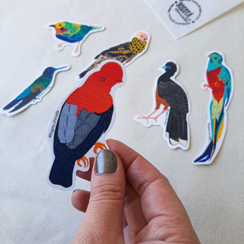 Stickers de aves de Colombia