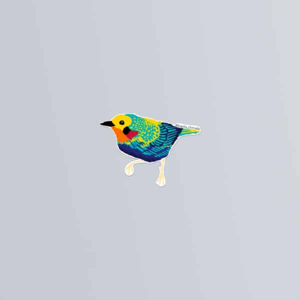 Sticker ilustrados de pájaros de Colombia