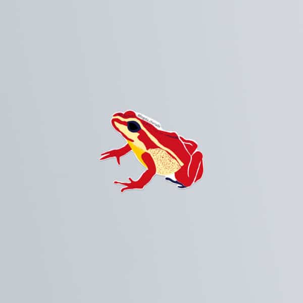 Sticker ilustrados de ranas de Colombia