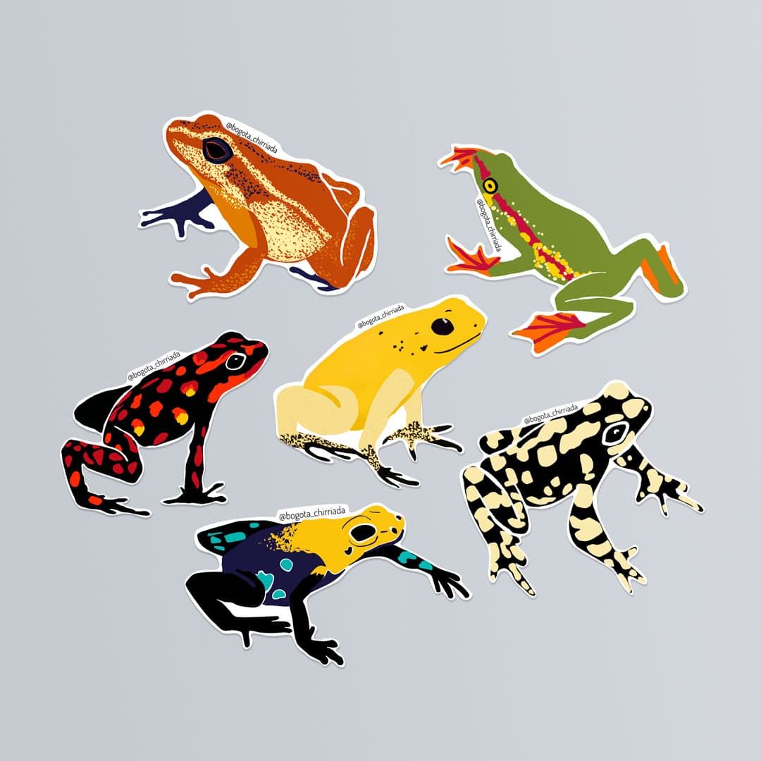 Combo de stickers de ranas de Colombia