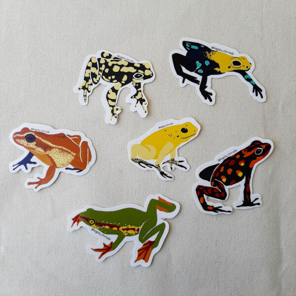 Combo de seis stickers de ranas