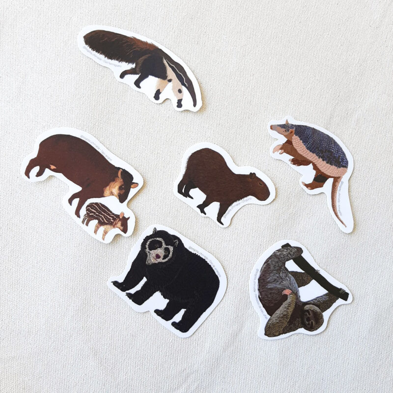 Combo de seis stickers de animales de tierra