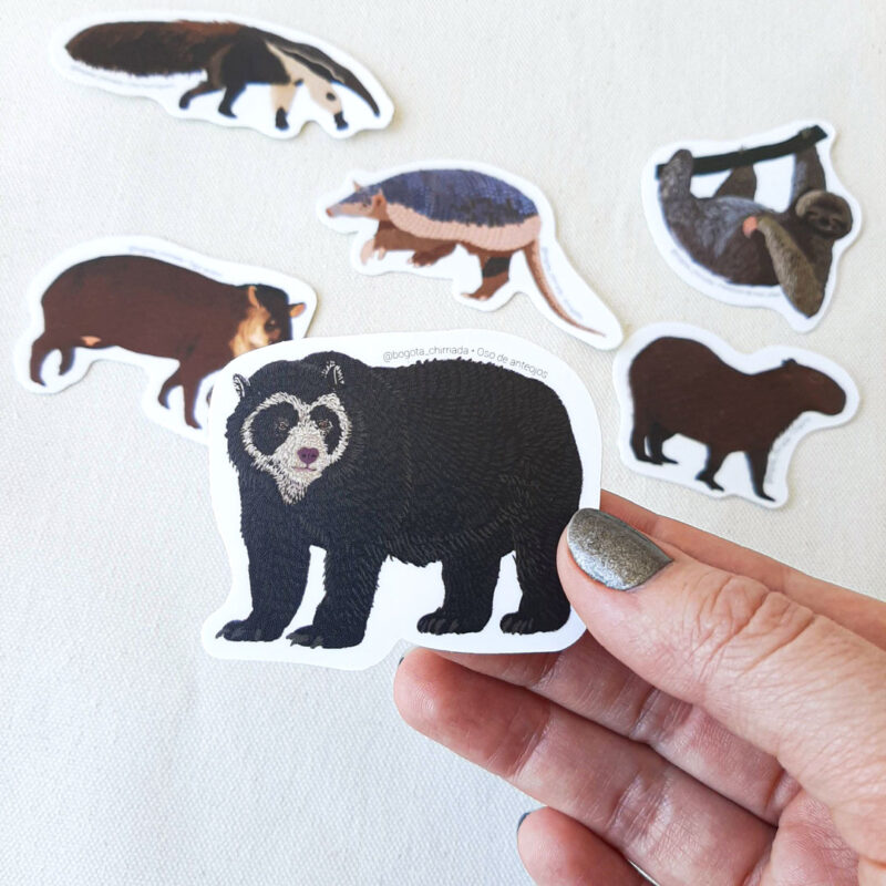 Sticker del oso de anteojos